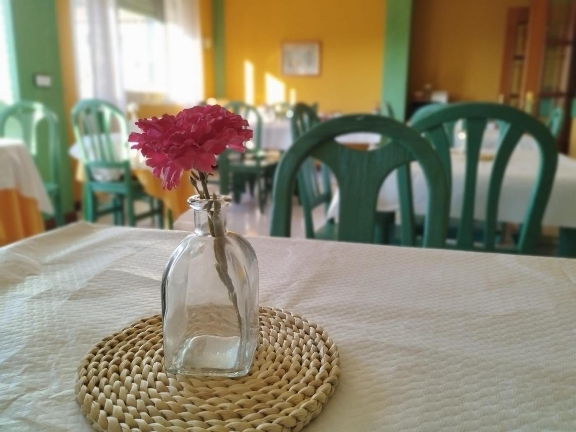 Hotel Matalenas Santender Kültér fotó